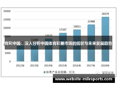 竞彩中国：深入分析中国体育彩票市场的现状与未来发展趋势